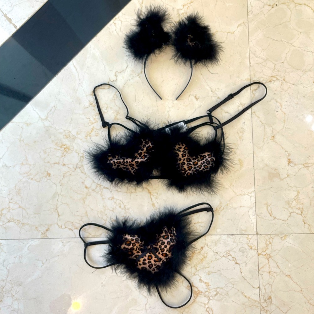 3 piece cat set
